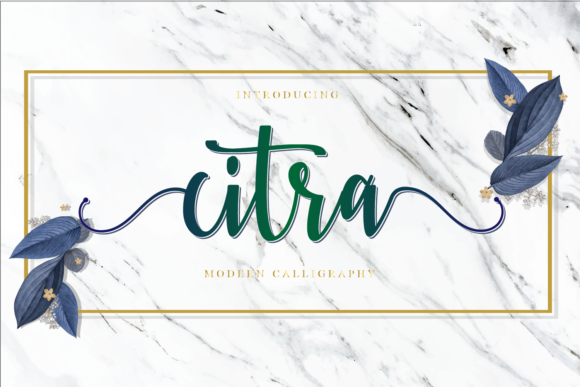Citra: A Charming and Elegant Script Font for Designers