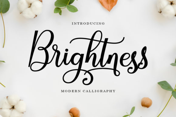 Discover Brightness: A Handwritten Font for Editorial Elegance