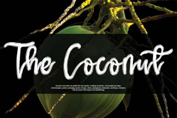 Discover The Coconut: A Handwritten Font for Elegant Branding