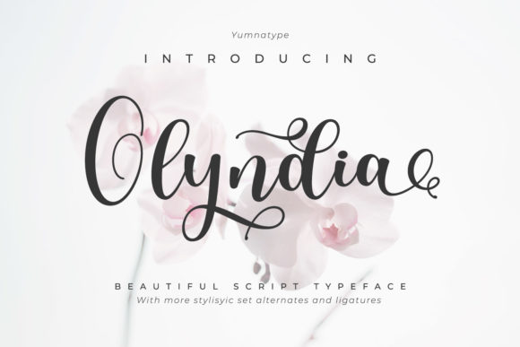Elevate Your Editorial Design with Olyndia Font