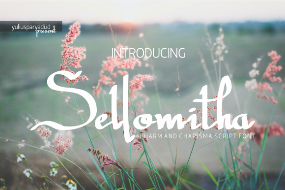 Enhance Your Web Design with Sellomitha Font