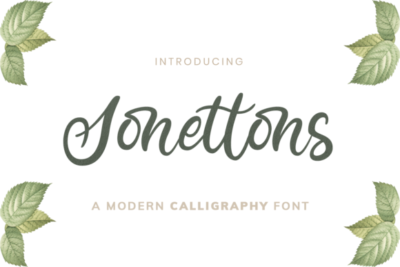Exploring Sonettons: A Designer's Perspective